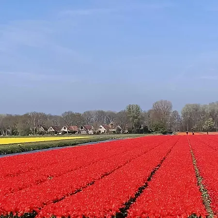 Pieper Luxe By Interhome Aldeamento Turístico *