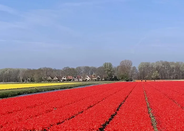 Pieper Luxe By Interhome Parco vacanze *